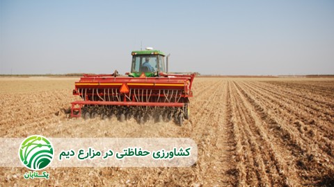 کشاورزی-حفاظتی-و-راهکار-ها-در-کشت-دیم
