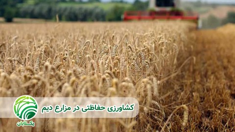 سیستم-کشاورزی-حفاظتی-چیست