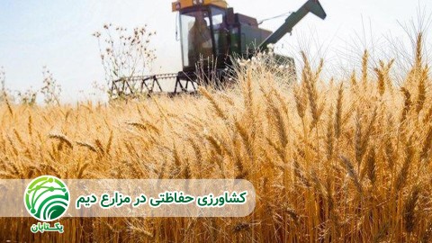 خاک-های-مناسب-دیم-کاری