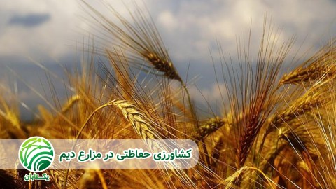 نکات-مهم-در-خاک-ورزی-حفاظتی