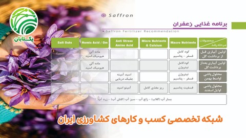 برنامه-غذایی-زعفران