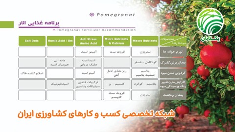 برنامه-غذایی-انار