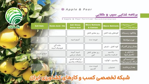 برنامه-غذایی-سیب-و-گلابی