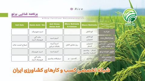 برنامه-غذایی-برنج