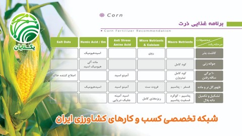 برنامه-غذایی-ذرت