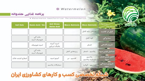 برنامه-غذایی-هندوانه