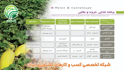 برنامه-غذایی-خربزه