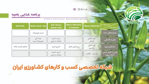 برنامه-غذایی-بامیه