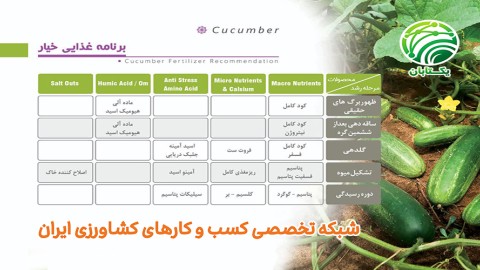 برنامه-غذایی-خیار