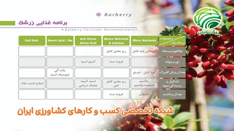 برنامه-غذایی-زرشک