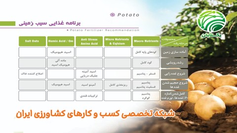 برنامه-غذایی-سیب-زمینی