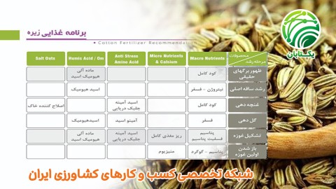 برنامه-غذایی-زیره