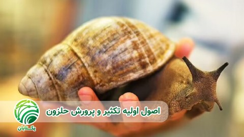 مصارف-درمانی-و-تجهیزات-نگهداری-و-پرورش-حلزون