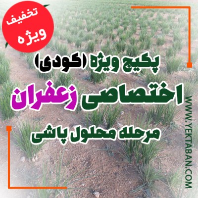 پکیج ویژه  اختصاصی زعفران بذران پاد  مرحله محلول پاشی(اسفند ماه)